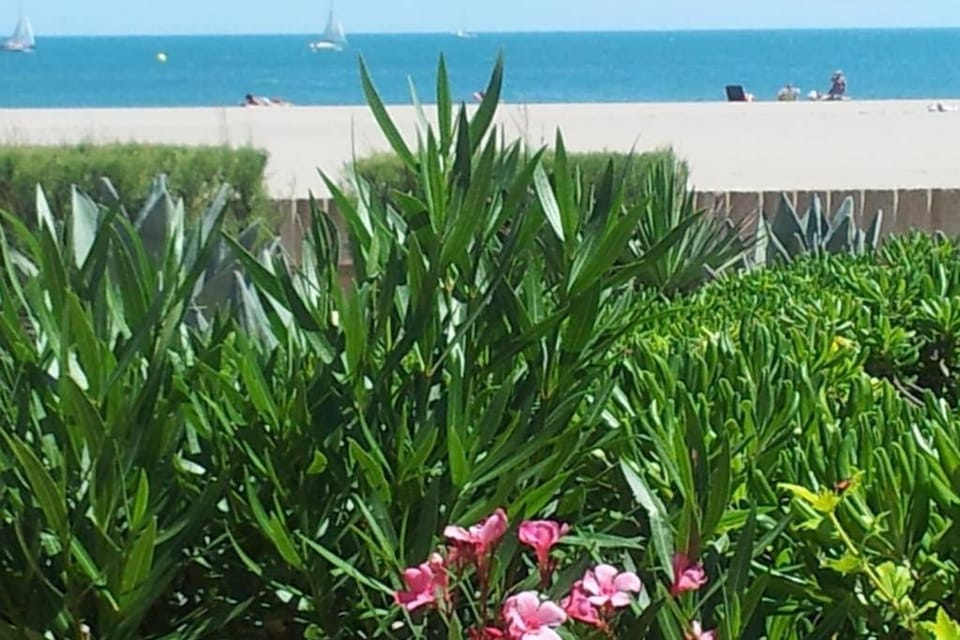 CROS Mer et Piscine House in Fleury