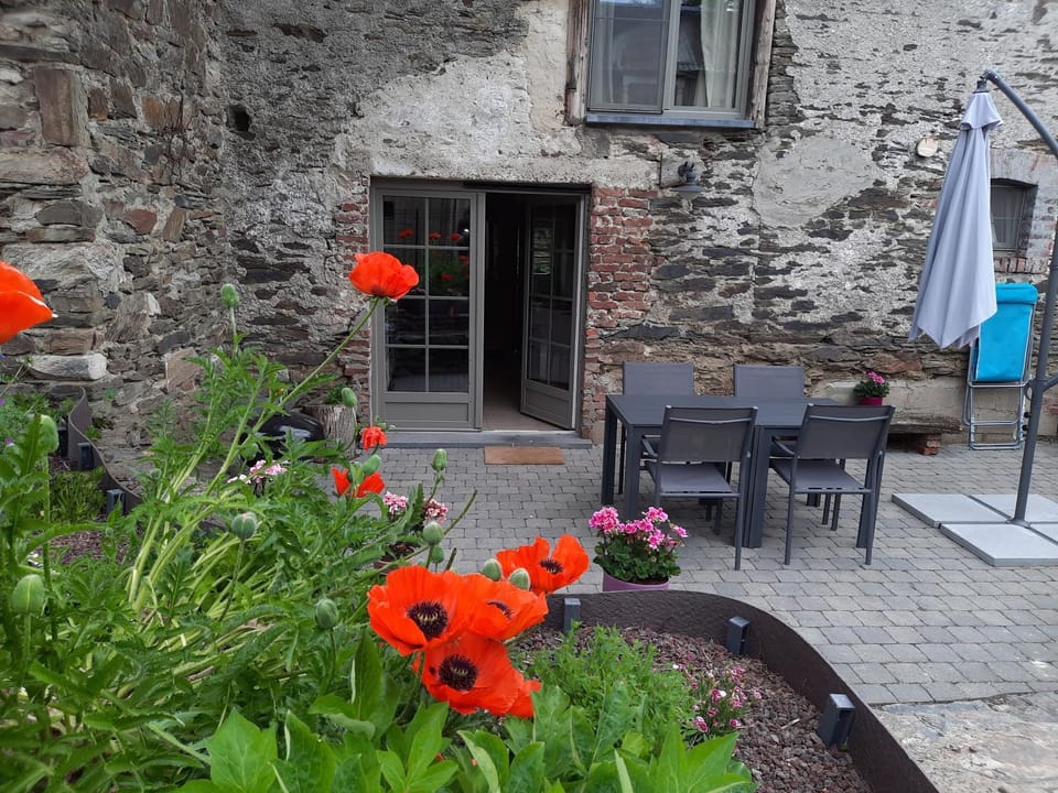 Patio, Garden