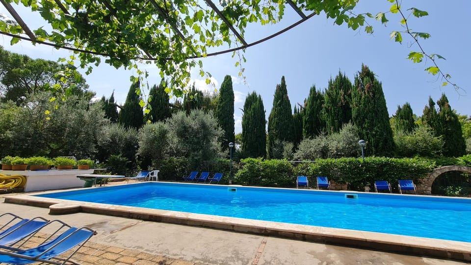 Pool view