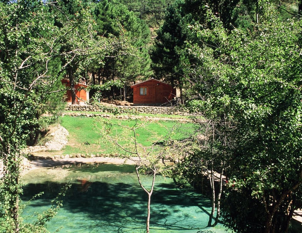 Spring, Natural landscape