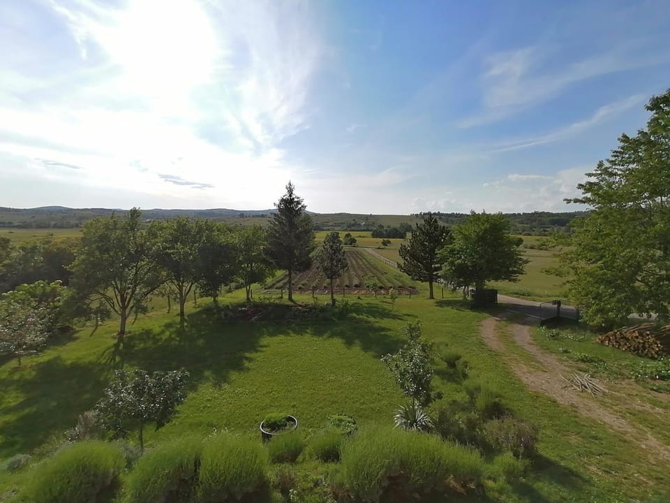 Natural landscape, Garden view