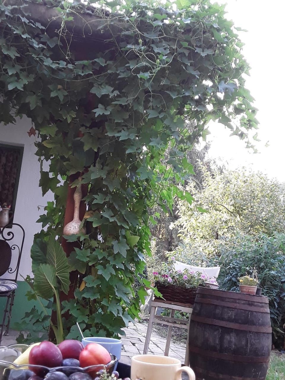 Ribarska kuća - Ilok ,tradicijska kuća-sobe Apartment in Vojvodina