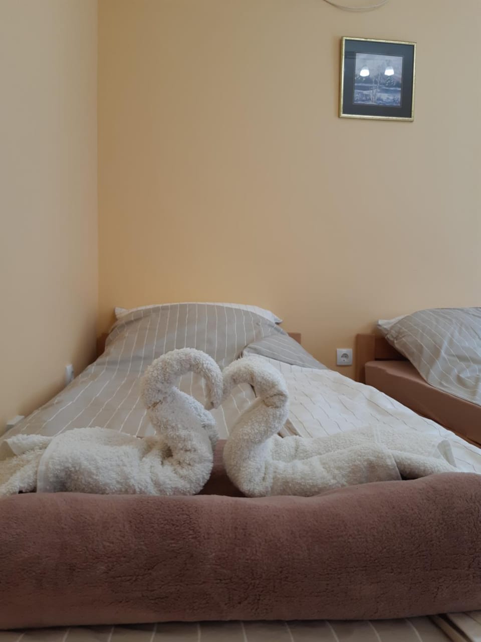 Centar Apartment in Vojvodina