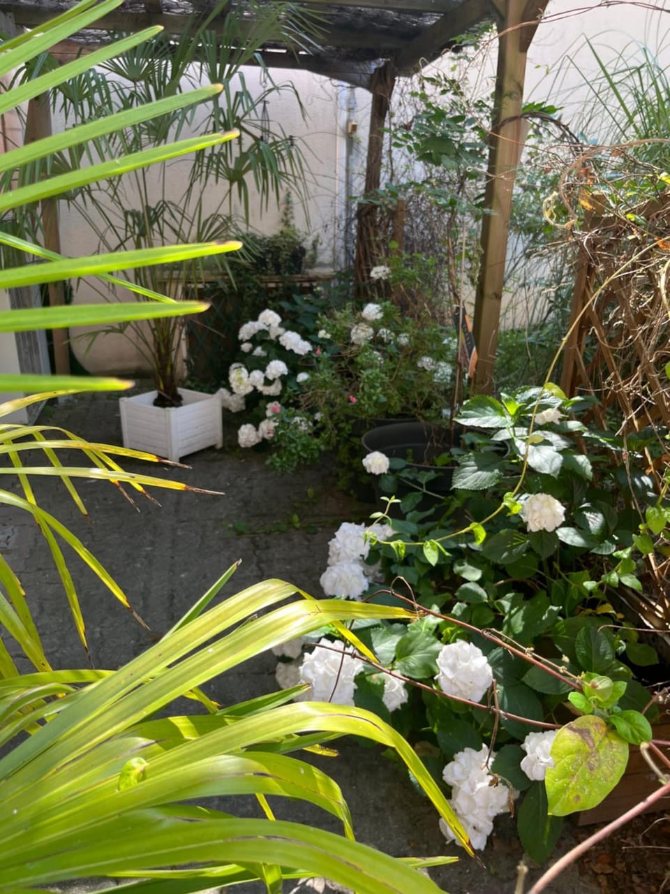 Garden view