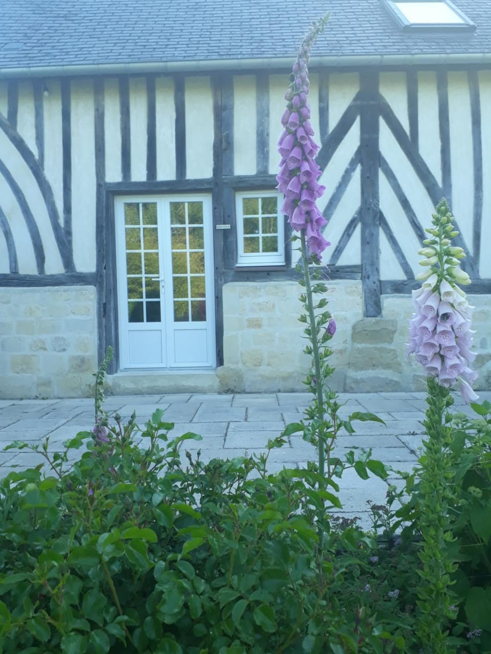 Gîte 'les matins calmes ' House in Normandy