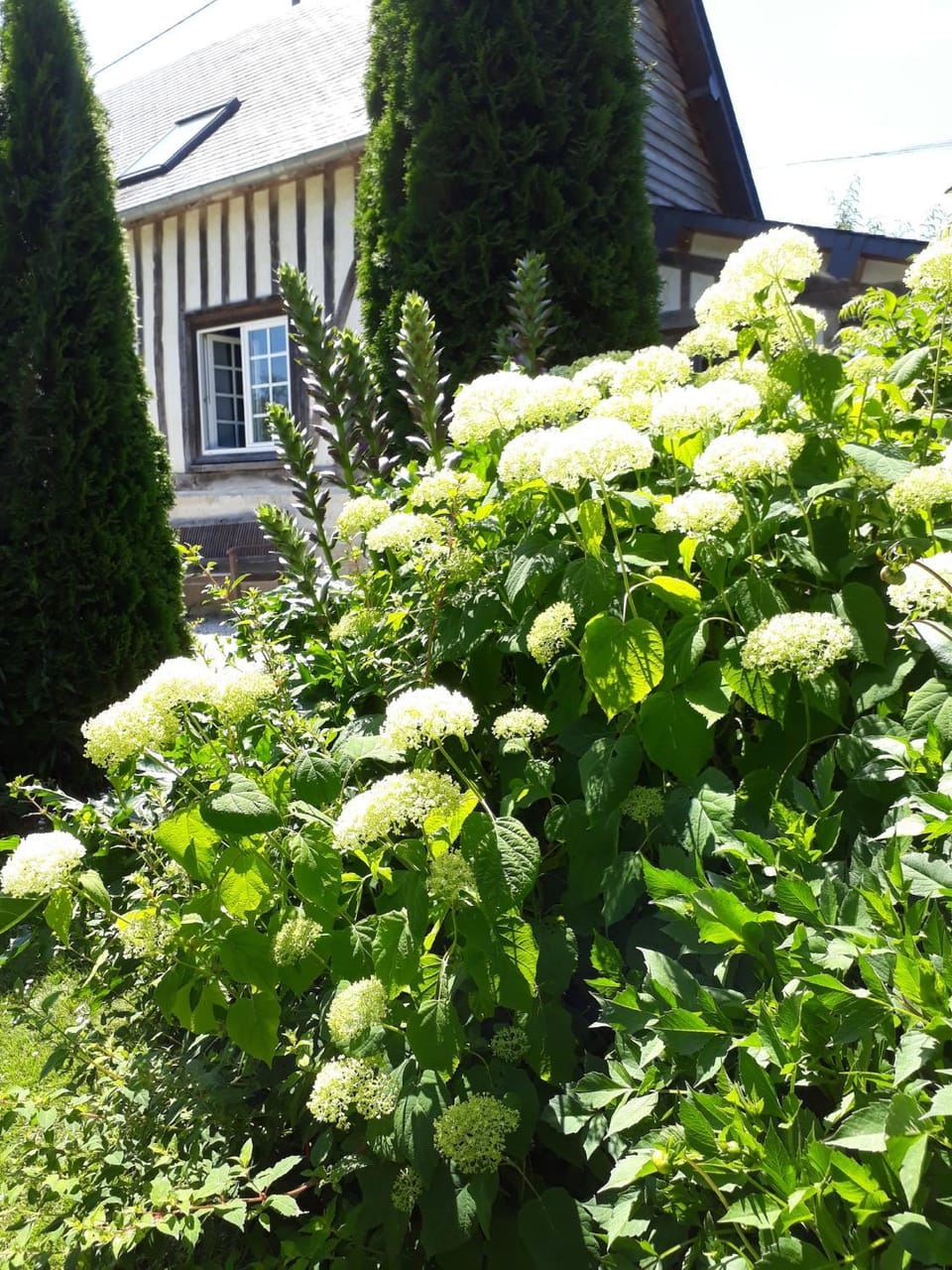Gîte 'les matins calmes ' House in Normandy