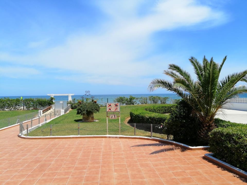 Activities, Sea view
