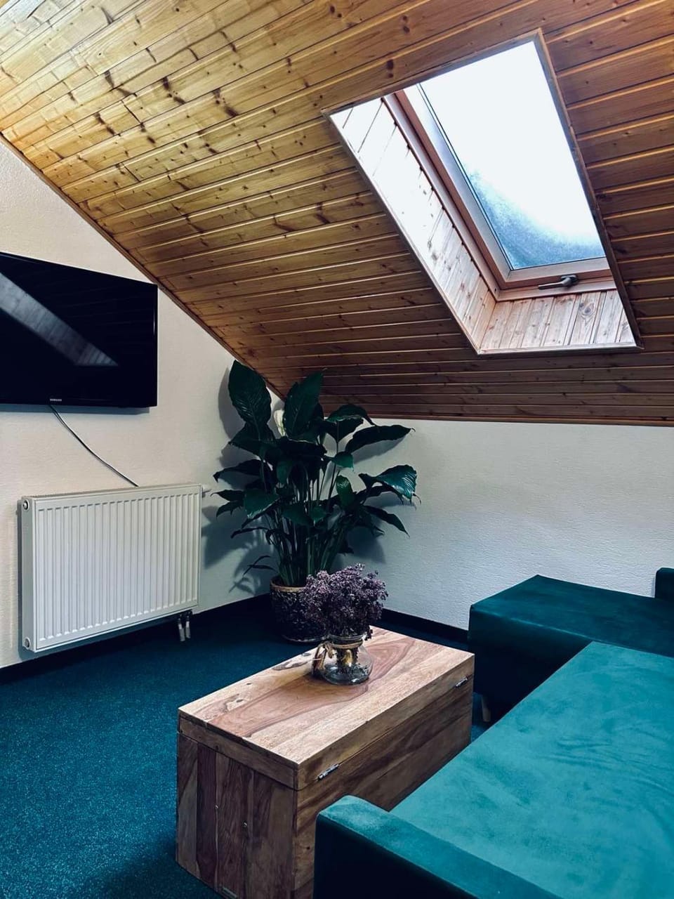 TV and multimedia, Seating area, Evening entertainment