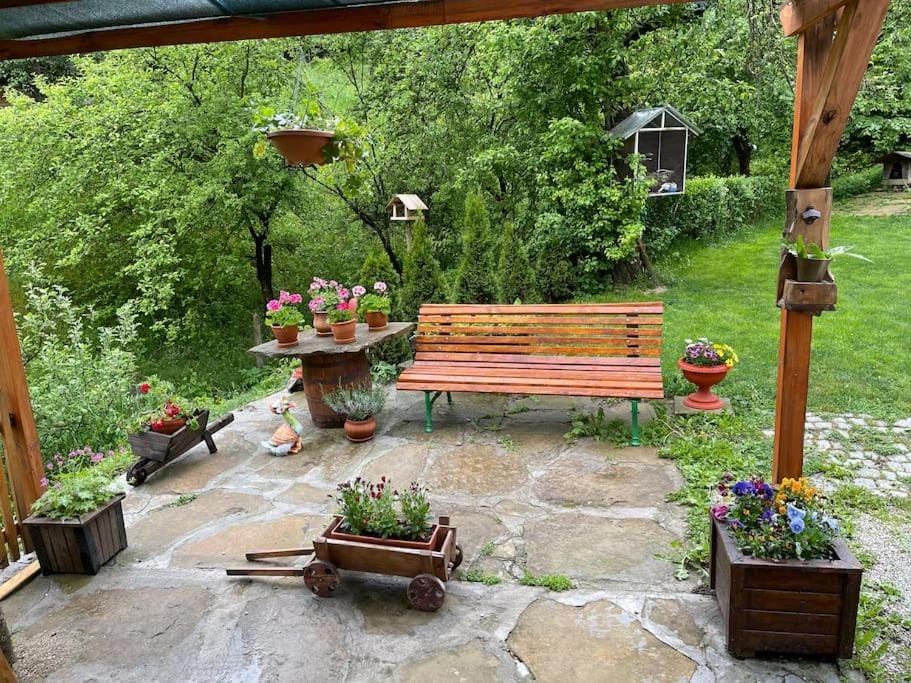 Patio, Garden