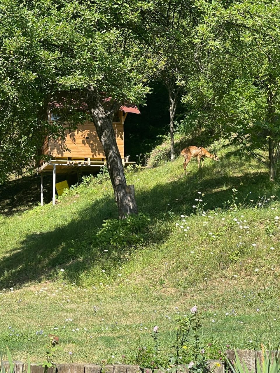 Natural landscape, Garden, Hiking