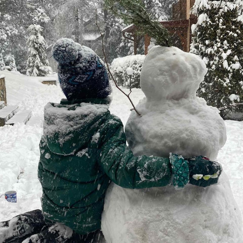 Winter, Animals, children