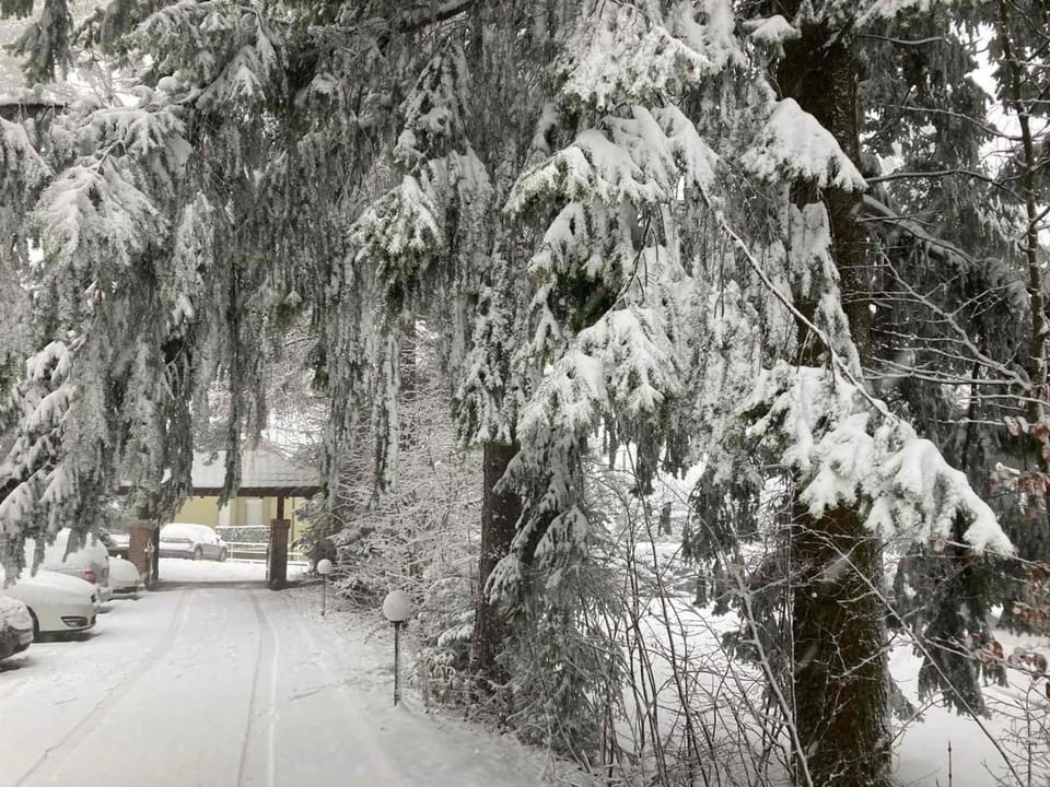 Natural landscape, Winter, Hiking