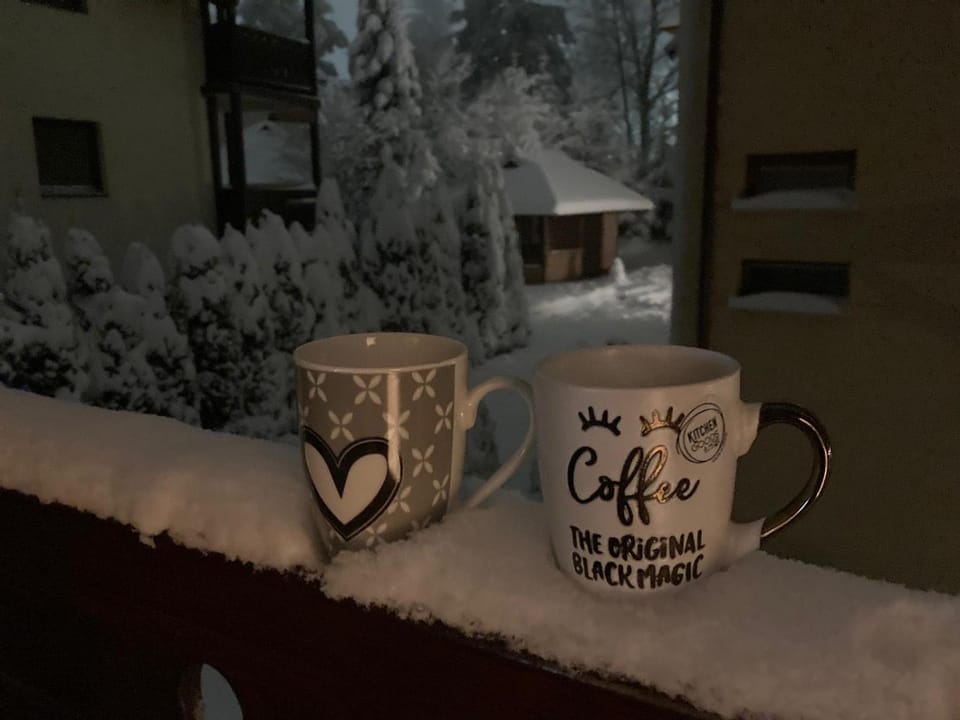 Winter, Garden view, Drinks, Inner courtyard view