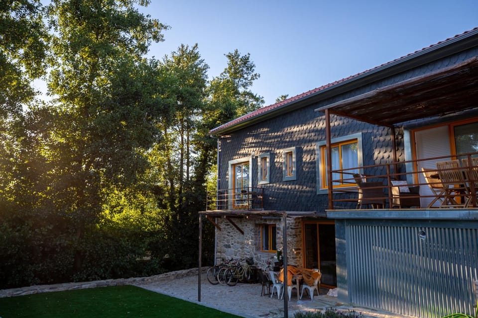 Patio, Natural landscape, Garden