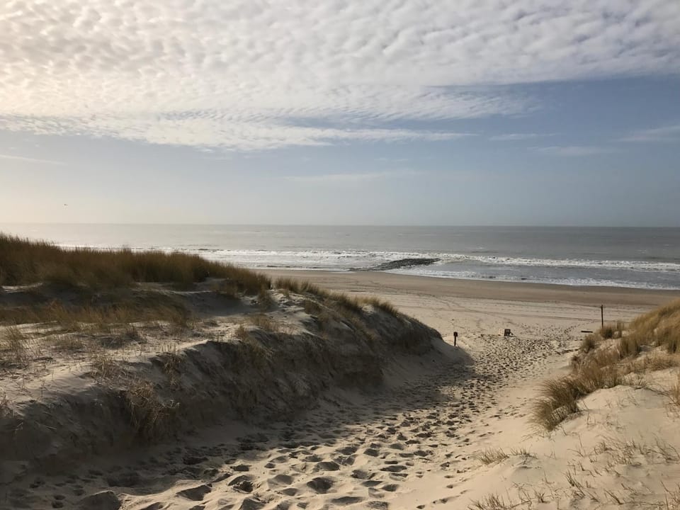 Natural landscape, Beach