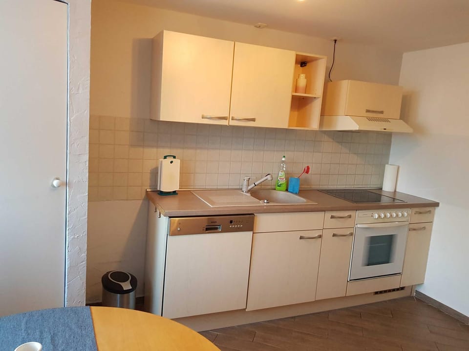 Kitchen or kitchenette, dishwasher, oven, stove
