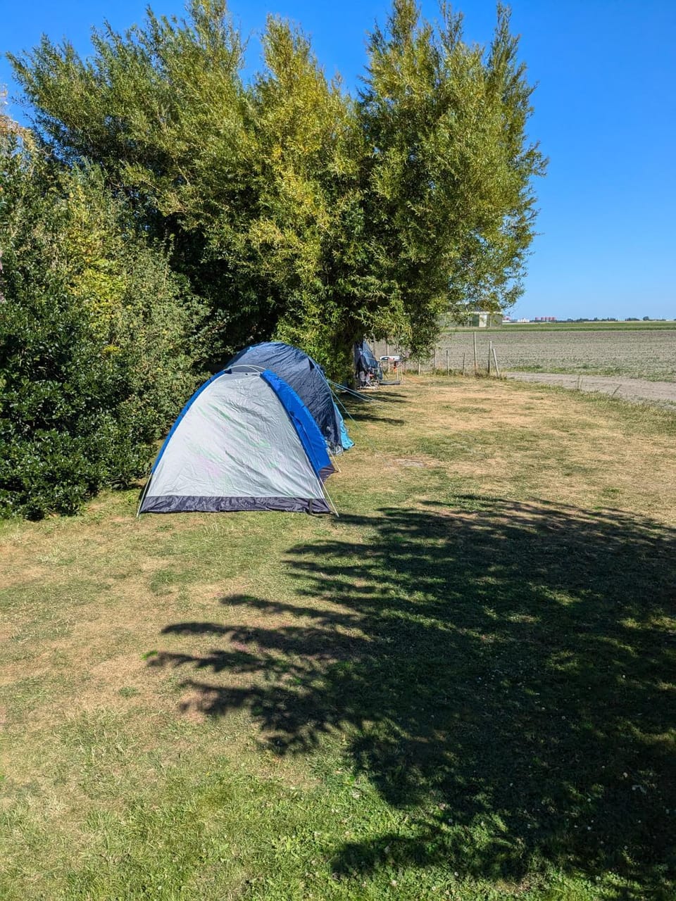empty spot on grass Camping The Tulip no beds Campground/ 
RV Resort in Julianadorp