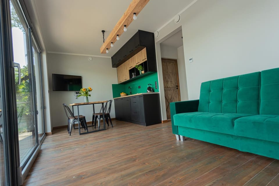 Kitchen or kitchenette, Living room, Seating area, Dining area