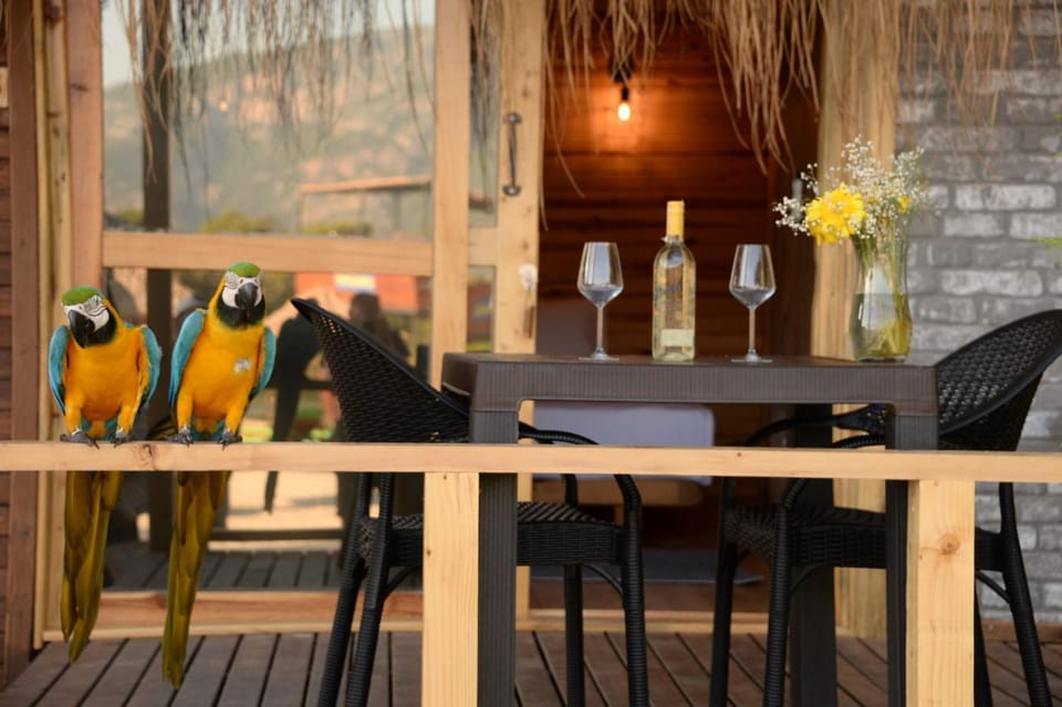 Green Pine Bungalows & Beach Luxury Concept Hotel in Ölüdeniz