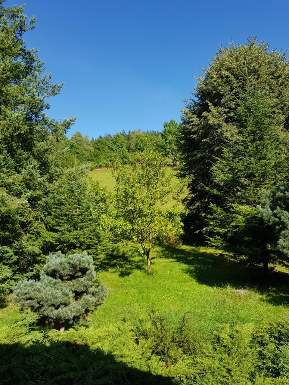 View (from property/room), Garden view