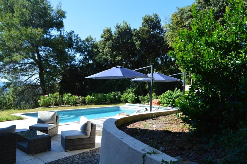 Patio, Day, Natural landscape, Garden, Garden view, Pool view, Swimming pool, sunbed