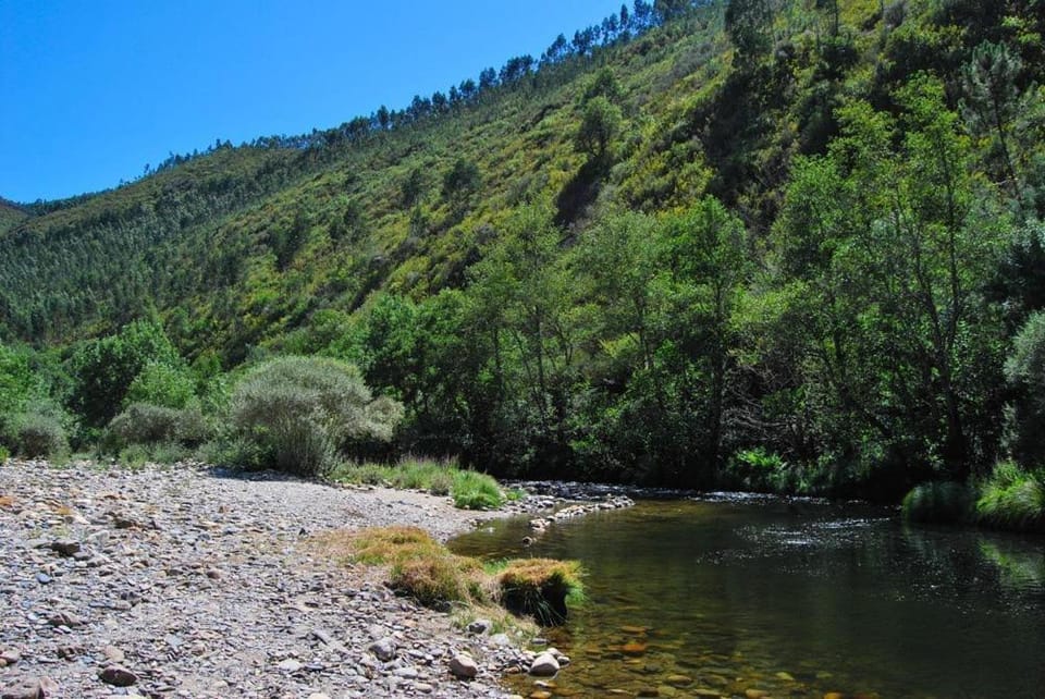 Natural landscape, Beach, Mountain view, River view