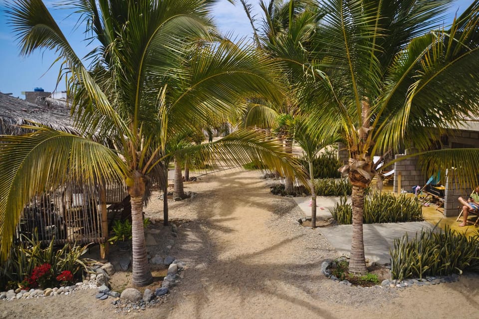 Bird's eye view, Garden