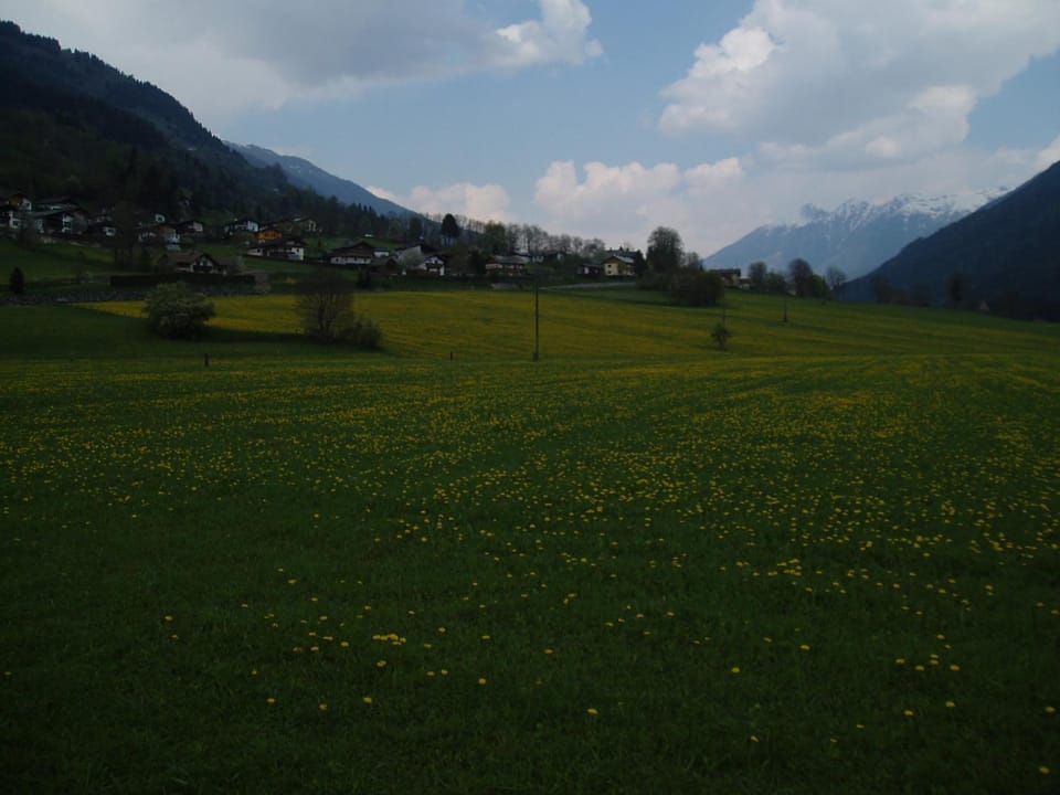 View (from property/room)