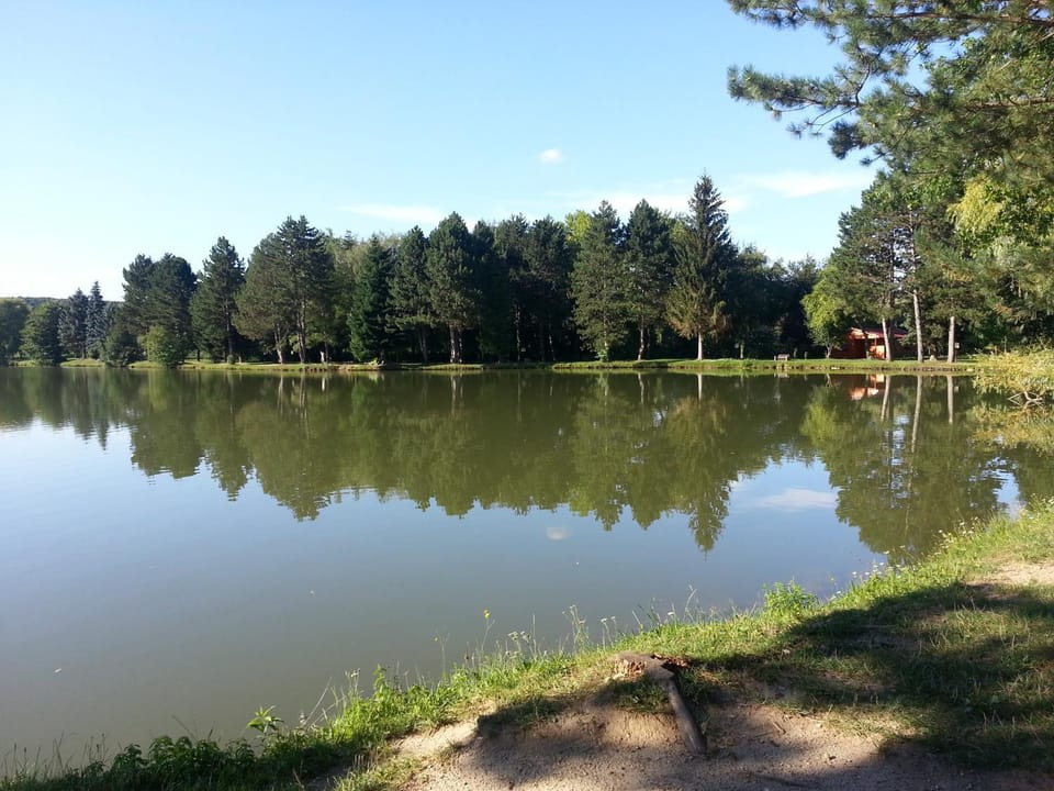 Fishing