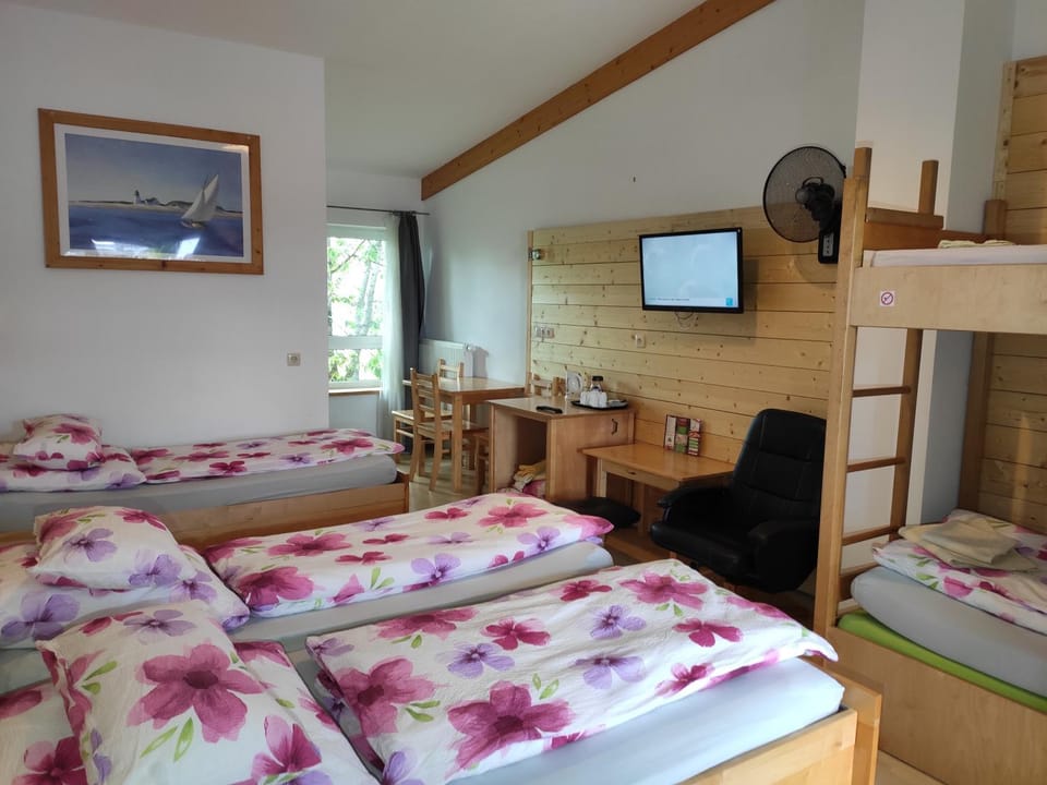 Bed, TV and multimedia, Photo of the whole room, Bedroom, bunk bed
