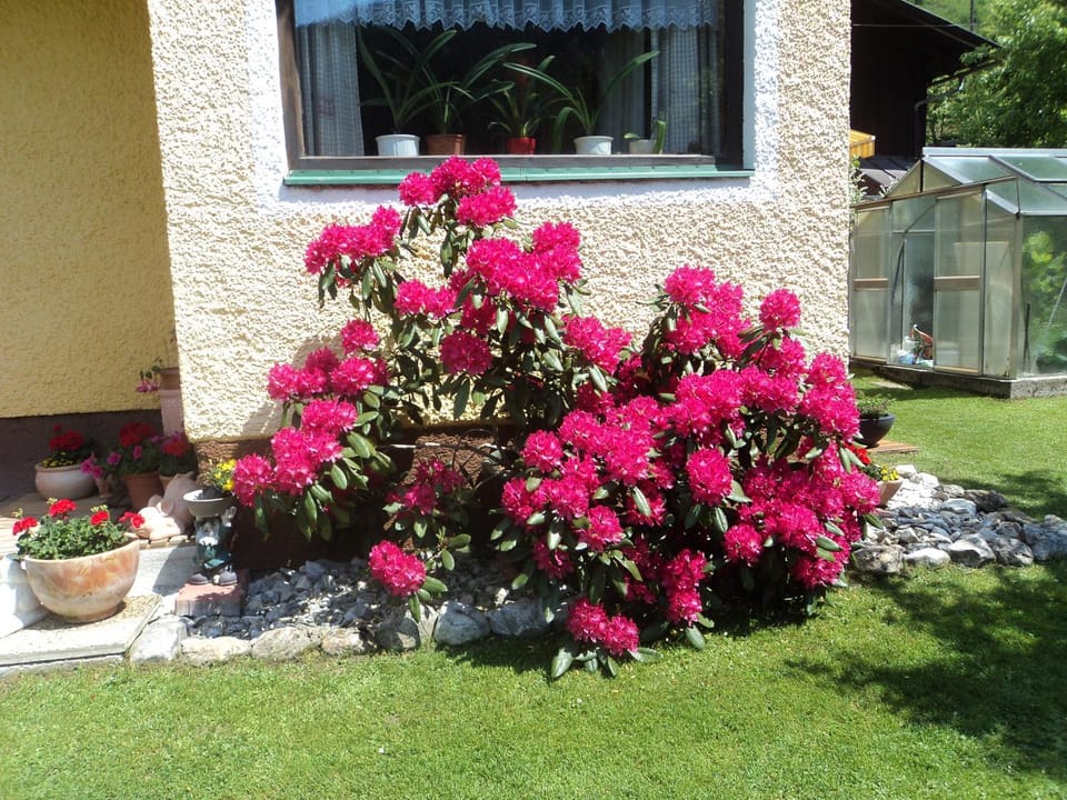Gondelblick Apartment in Salzburgerland