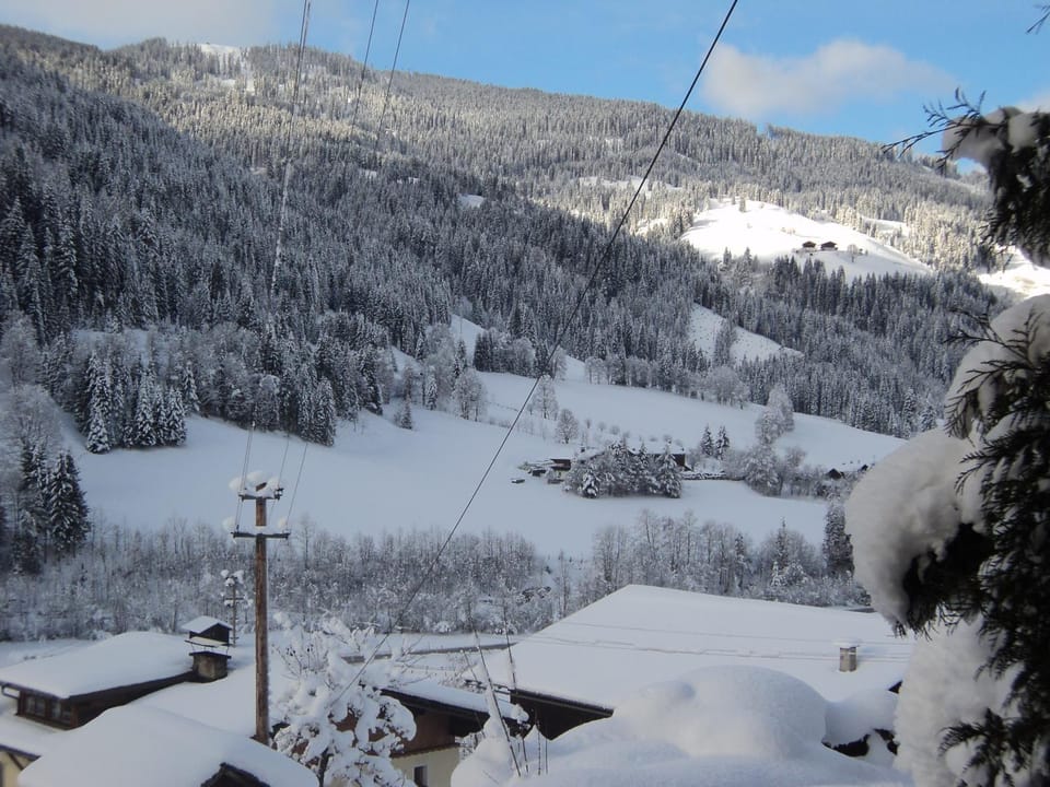 Gondelblick Apartment in Salzburgerland