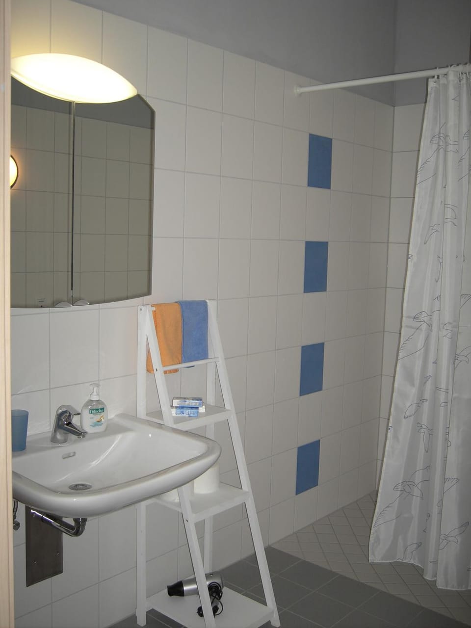 Barrierefreie Ferienwohnung SONNE auf Rügen Apartment in Mecklenburg-Vorpommern, Germany
