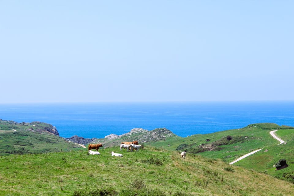 Apartamentos El Prau Apartment in Western coast of Cantabria