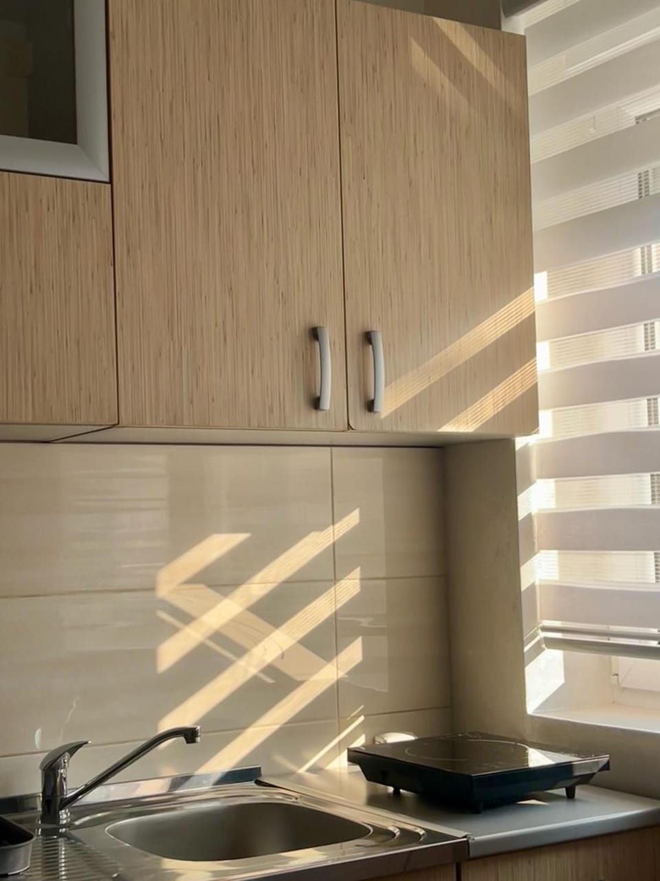 Apartman Radmanovac 2 Apartment in Serbia