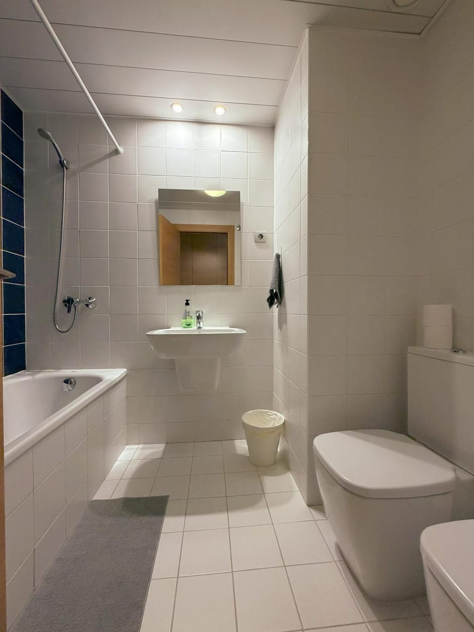 Shower, Toilet, Bathroom, Bath, bidet