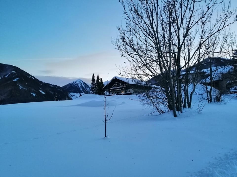Zur sonnigen, eleganten Kuh Apartment in Schladming