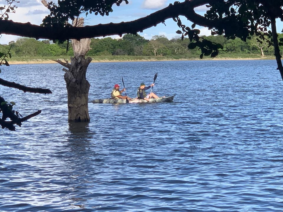 Activities, Lake view