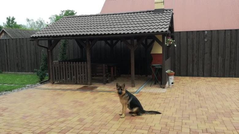 BBQ facilities
