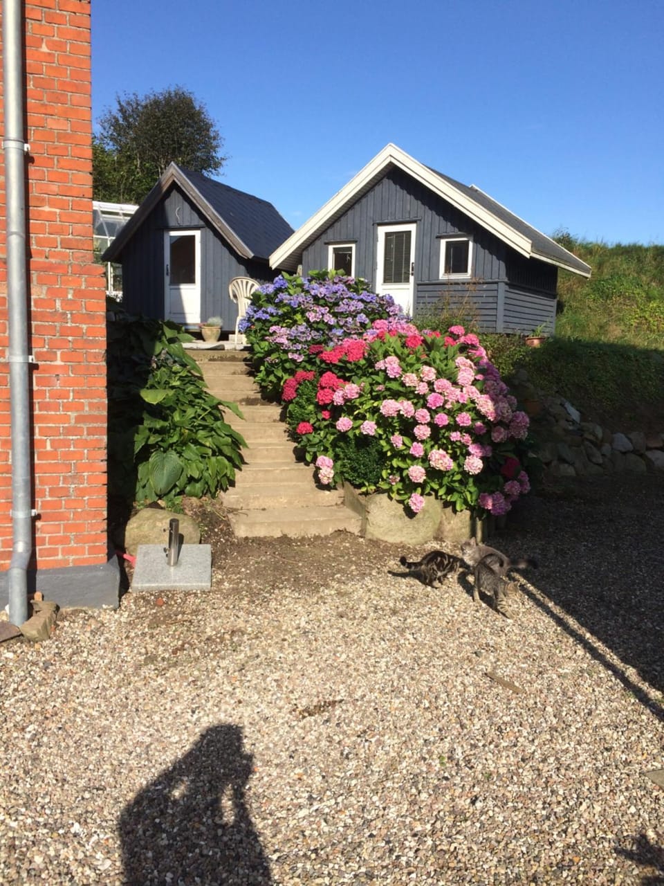 Brørup Kjærsgaard, Hygge, ro, natur og landliv Bed and Breakfast in Central Denmark Region