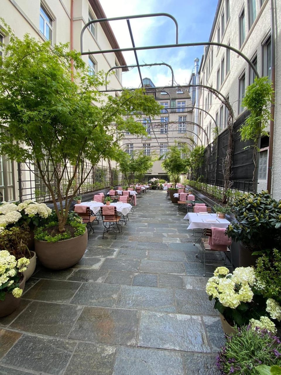 Garden, Lobby or reception