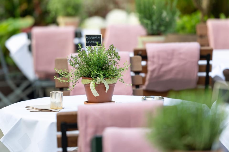 Garden, Balcony/Terrace