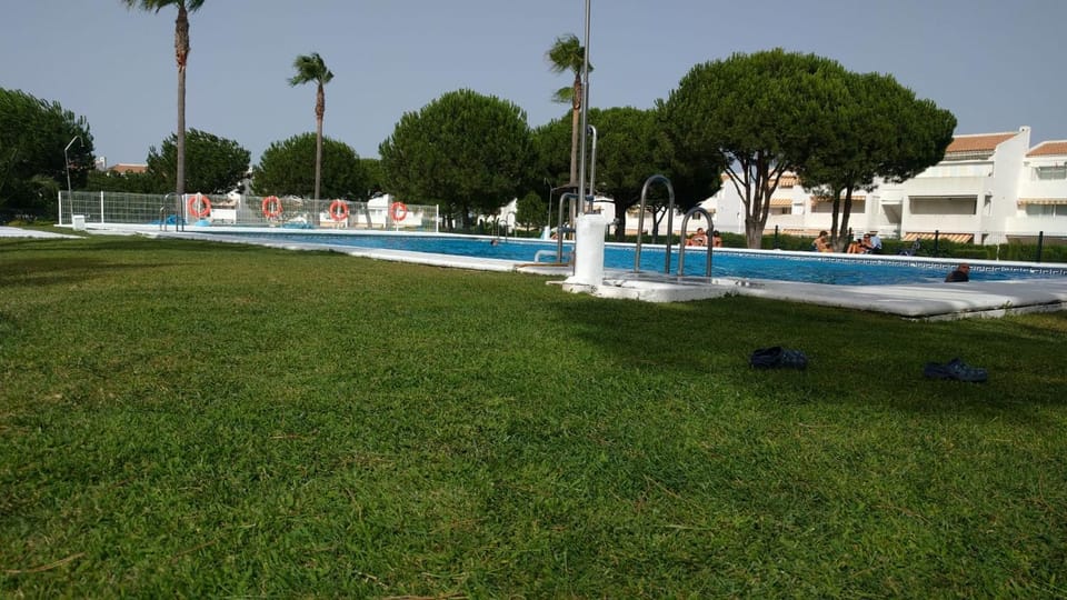 Garden, Garden view, Swimming pool