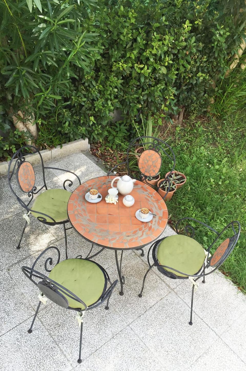 Garden