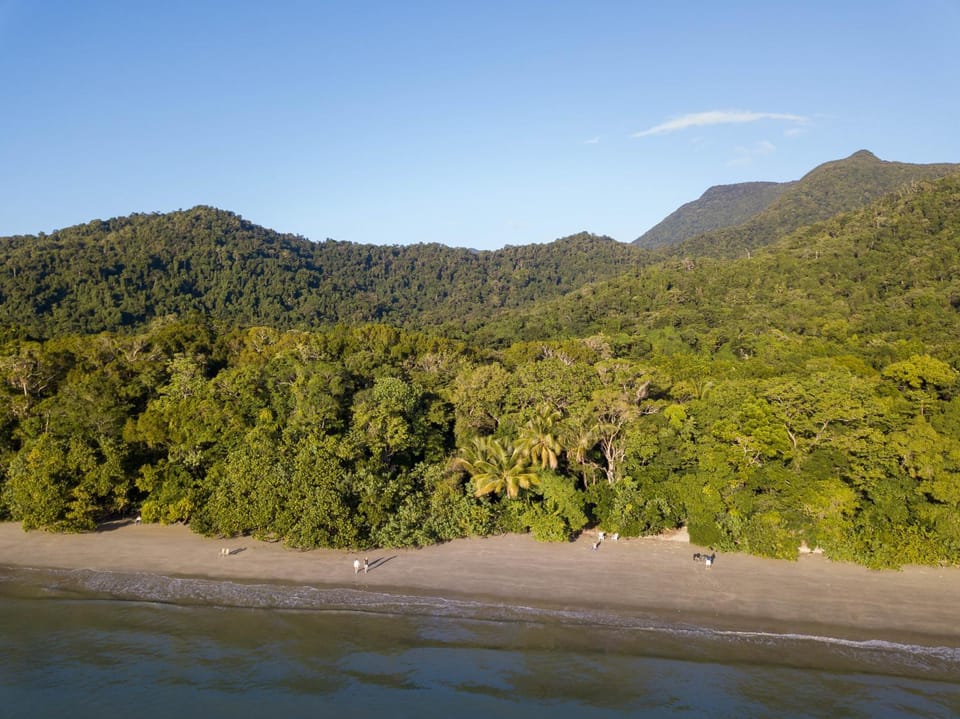 Day, Beach, Location