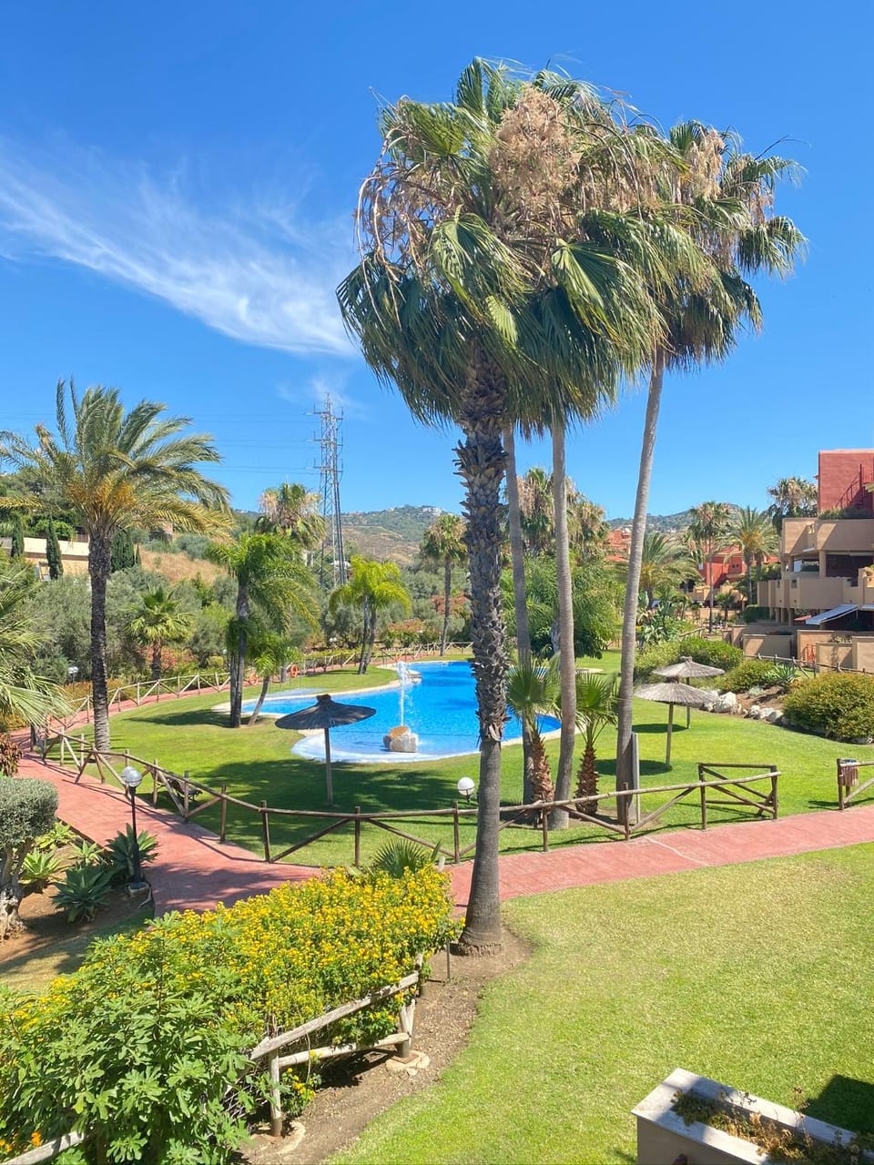 Garden, Pool view, Swimming pool