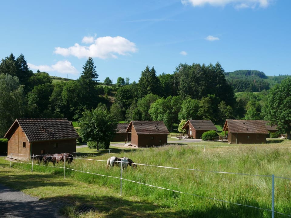 Neighbourhood