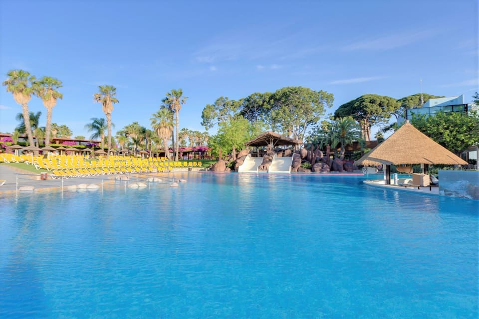 Lounge or bar, Swimming pool