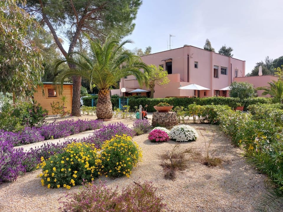 Property building, Garden, View (from property/room), Garden view