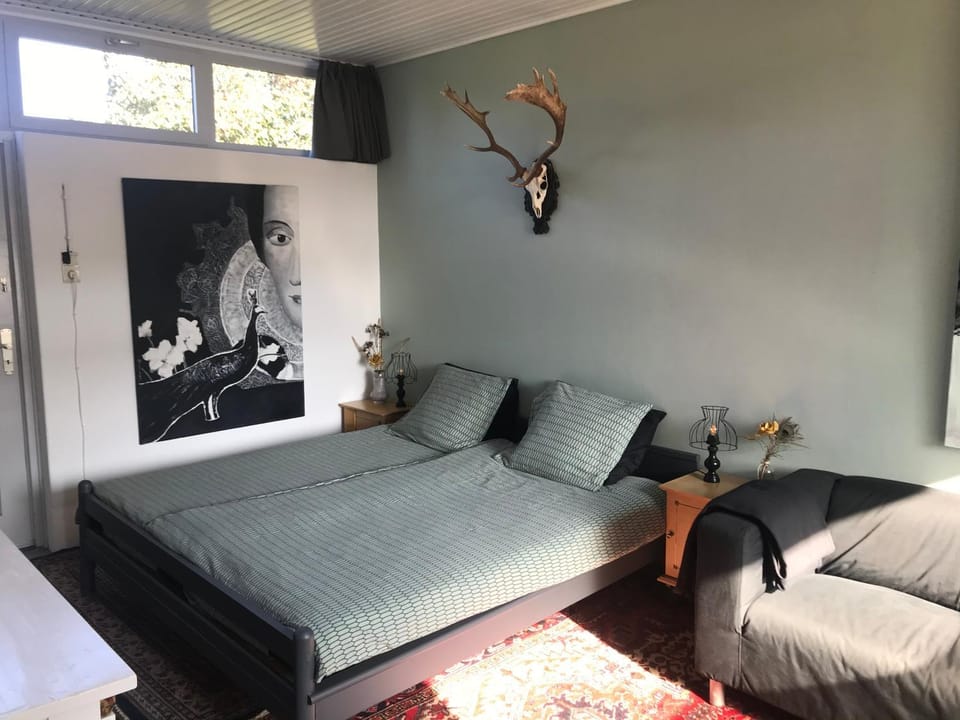 Bed, Living room, Photo of the whole room, Seating area, Bedroom